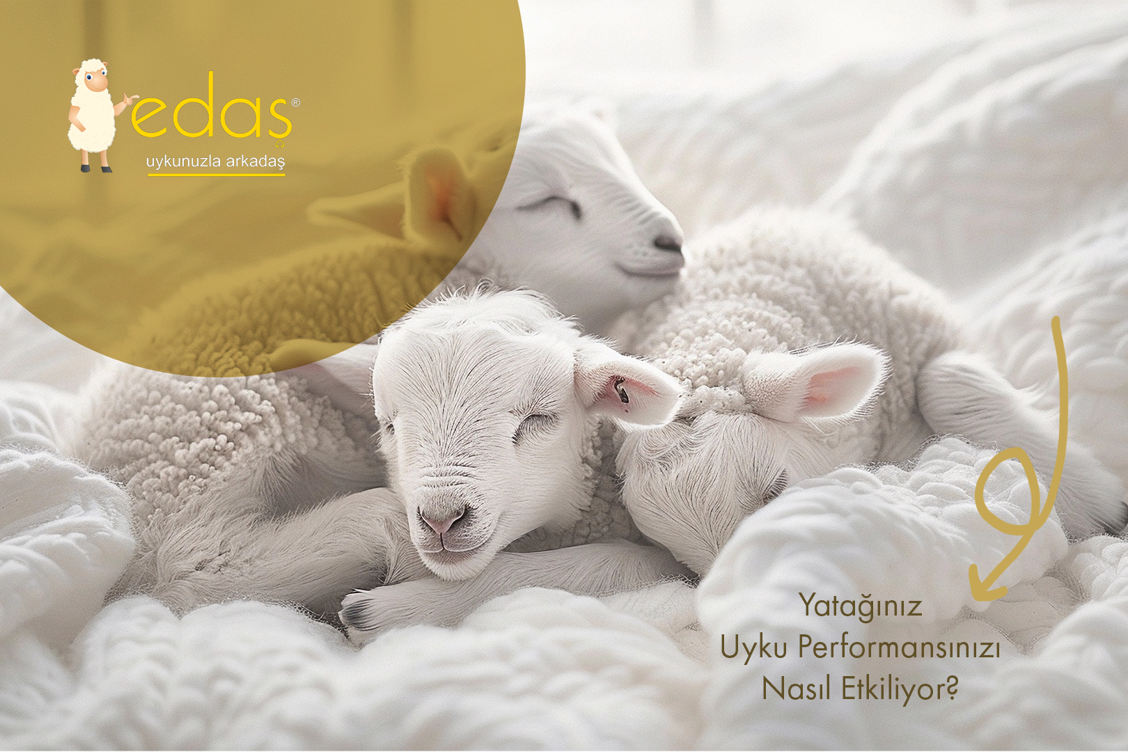 Yatağınız Uyku Performansınızı Nasıl Etkiliyor?